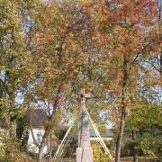 pa220231.jpg