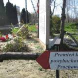 img_4763.jpg