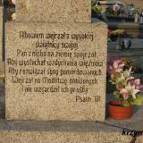 radziki.d63.km005.jpg