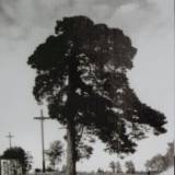1924.jpg