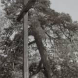 1962.jpg