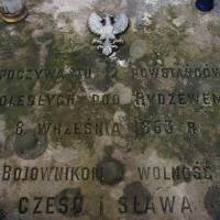2515_sulerzyz_20080419.jpg