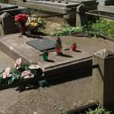 3044_szwelice_20080511.jpg