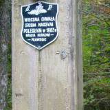 s6301244.jpg
