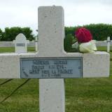 albert14.vq008.jpg