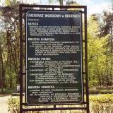brodnica11.jpg