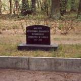 brodnica31.jpg