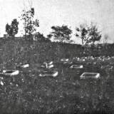 lipno14.arch.kwat.woj.1915.jpg