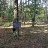 pa100889.jpg