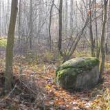 img_4603.jpg