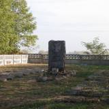 pa220194.jpg