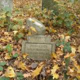 pa230340.jpg