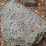 pa095430.jpg