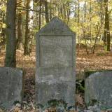 pa290429.jpg