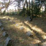 pa290441.jpg
