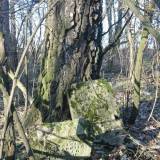 img_0042.jpg