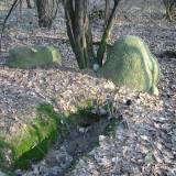 img_0043.jpg