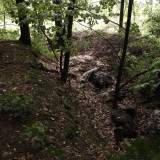 img_1790.jpg