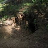 bystrzyca_img_7251.jpg