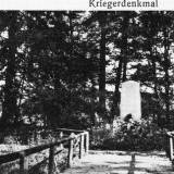 steinbusch.jpg