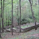 img_4771.jpg