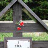 img_9229.jpg