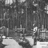 tarnow01.jpg