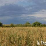 dsc_6995.jpg