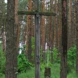 3601_borsuki_20080522.jpg