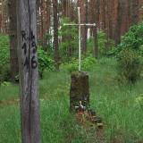 3602_borsuki_20080522.jpg