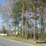 cekanowo14.km003.jpg