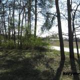 cekanowo14.km004.jpg