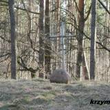 Las koło Cieksyna. Mogiła zbiorowa.