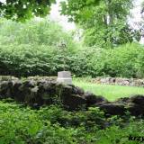 czajki14.km001.jpg