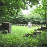 czajki14.km002.jpg