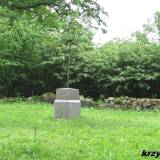 czajki14.km003.jpg
