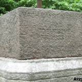 czajki14.km005.jpg
