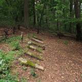 5000_czeruchy_20080830.jpg
