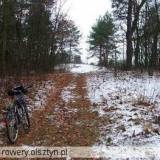 391_dreglin_20051203.jpg
