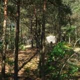 0496_dzbadzek_20090531.jpg