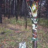 100_6591.jpg