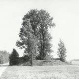 gradow00.jpg