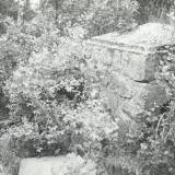 gradow02.jpg