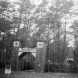 jednorozec03.jpg