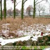352_kaczorowy_20051203.jpg