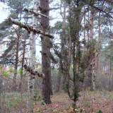img_3448.jpg