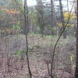 img_3458.jpg