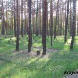 kaszewiec14.km005.jpg