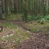 3620_komorowo_20080522.jpg
