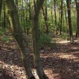 9922pr_leszno_20090426.jpg
